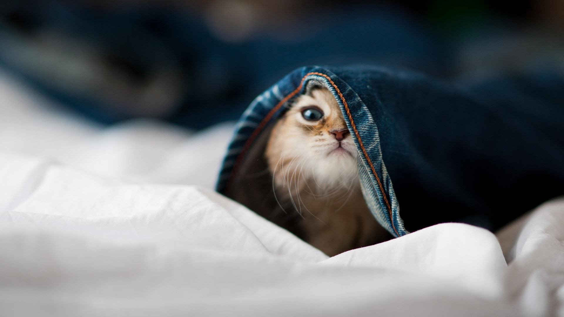 九游jiuyou-《Valorant 夏季邀请赛，Liquid战队战术打爆对手》，valorant战绩